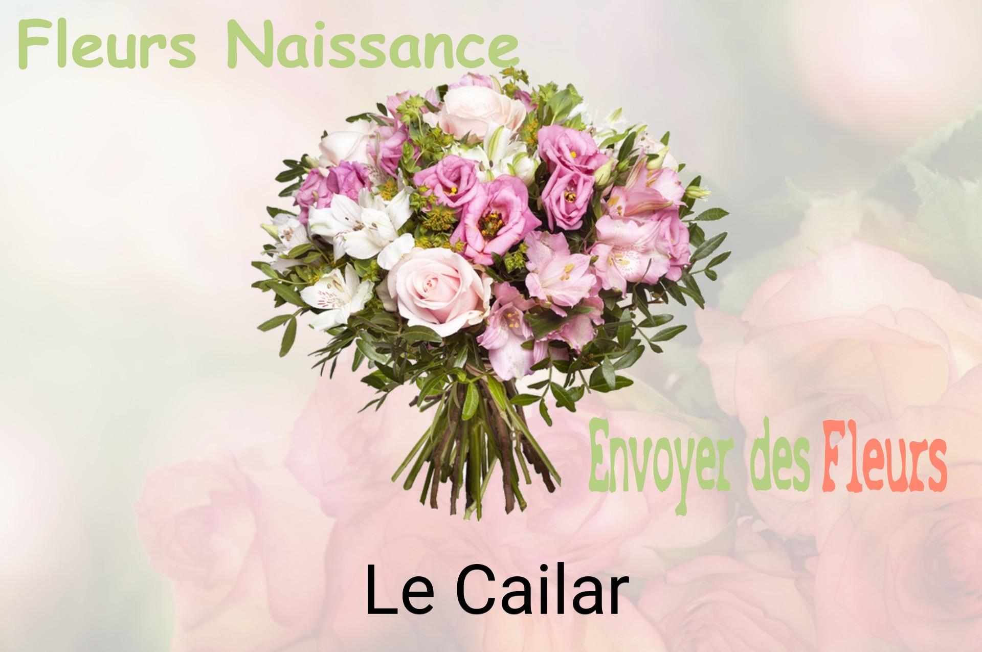 Bouquet de fleurs de naissance livré à Le Cailar