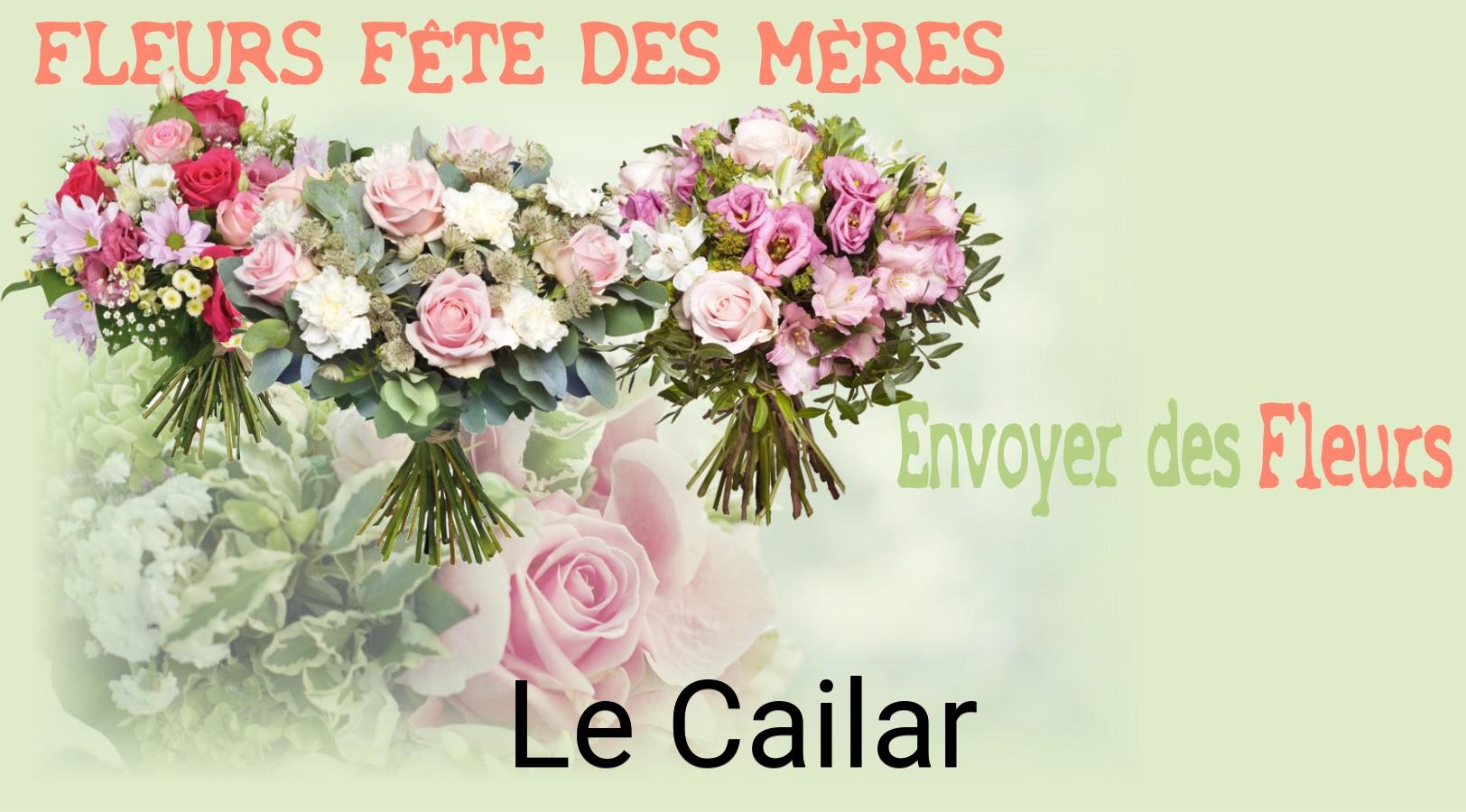 Bouquet de Fête des Mères livré à Le Cailar